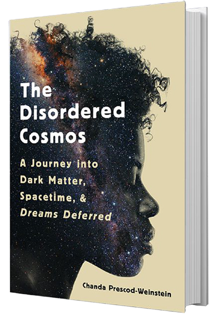 The Disordered Cosmos book cover