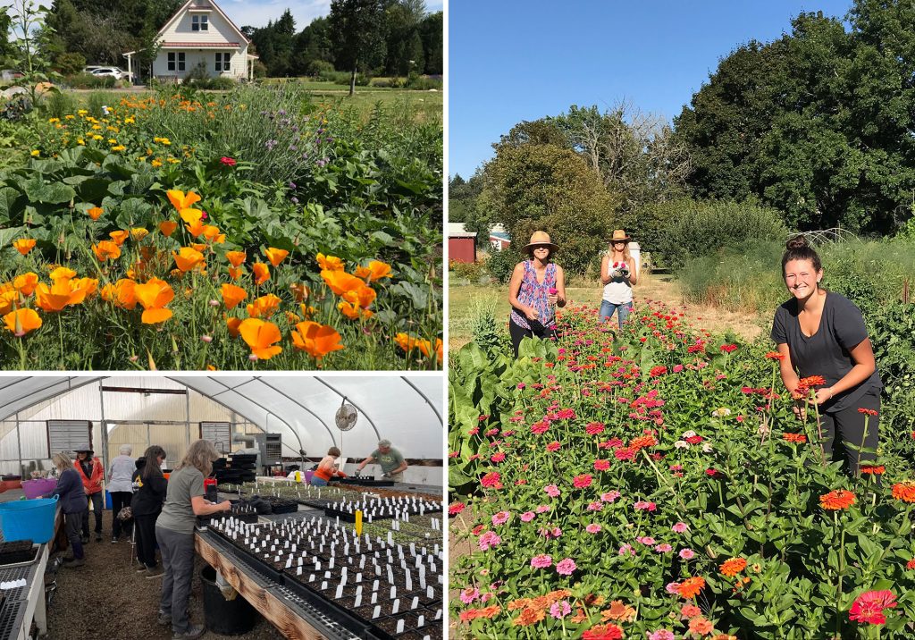 Meleah Ashford shares her Master Gardener training with others on her family's farm.