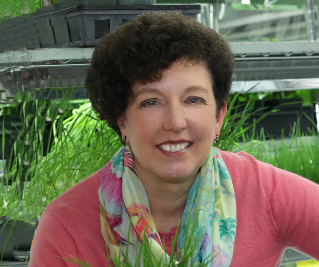 Headshot of Dr. Pam Marrone