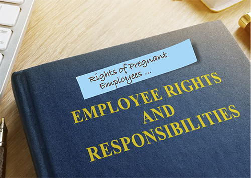 Employee Rights and Responsibilities book. Paper with "Rights of Pregnant Employees..." on it.