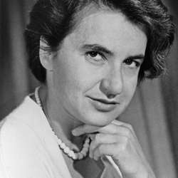 Dr. Rosalind Franklin