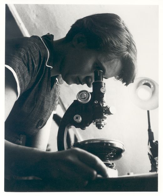 Black and white photo of Rosalind Franklin looking into a microscope