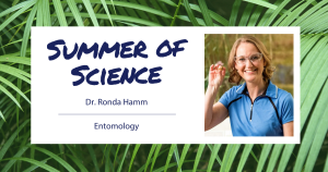 Dr. Ronda Hamm, Entomologist
